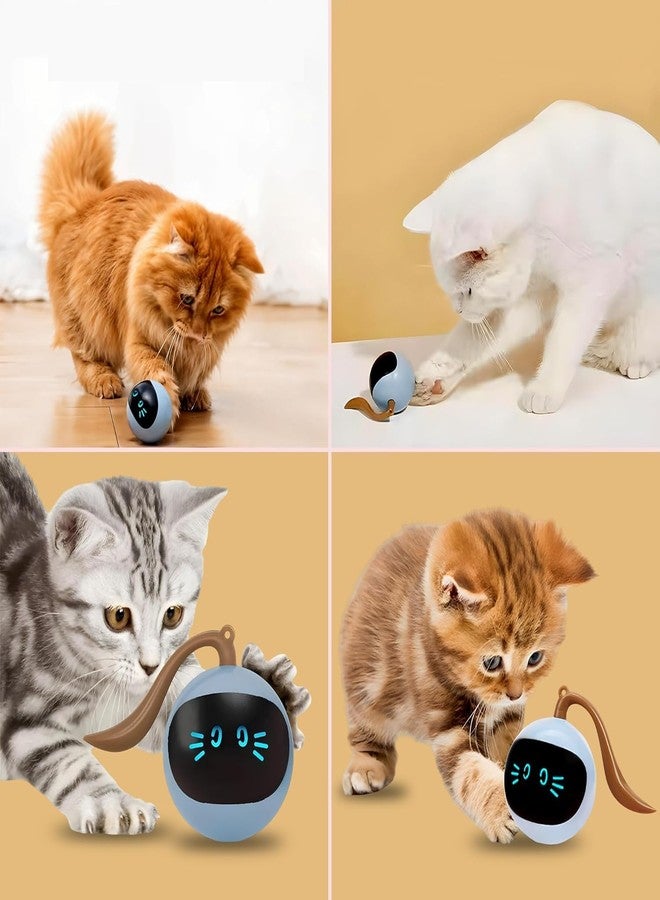 WIDRIA TR Tinsrom Interactive Cat Toy - USB Rechargeable for Kittens & Toys for Cats by TR Tinsrom - Image 3